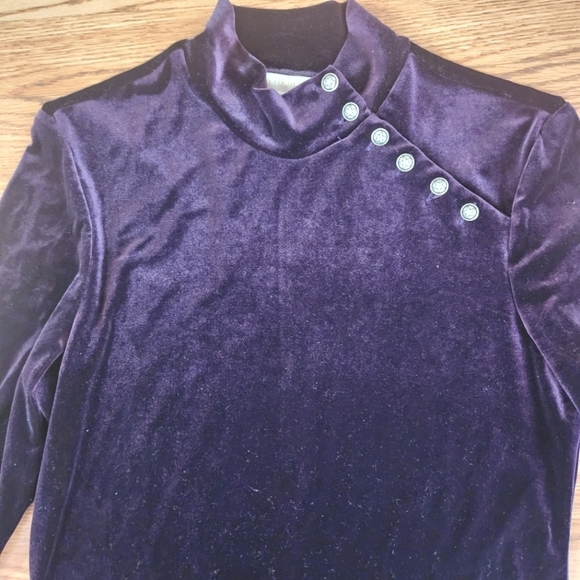 EUC Vintage Coldwater Creek Purple Velvet Dress, Size Petite Medium *HOST PICK* - Picture 4 of 11